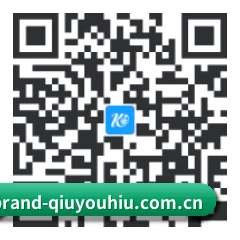 Android 全机型适配版 二维码